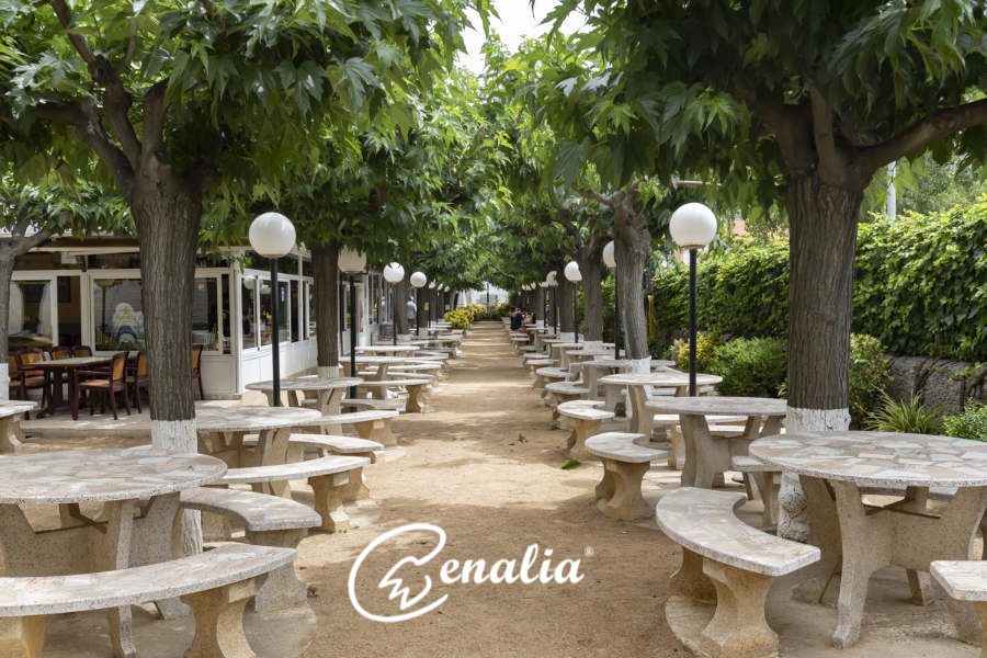 Beer garden en Barcelona