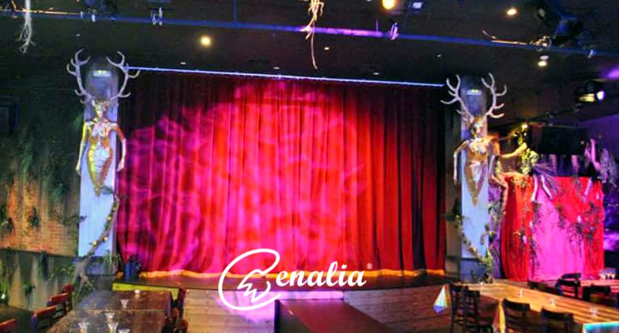 Cena cabaret Cena cabaret